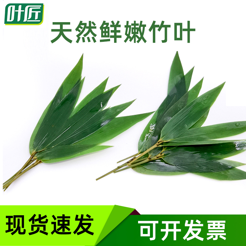 三支叶凤尾小竹子三枝叶子小粽叶摆盘装饰寿司海鲜筒烤肉料理奶茶