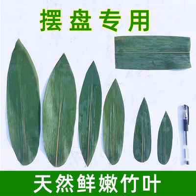 叶匠摆盘小棕叶真空保鲜装