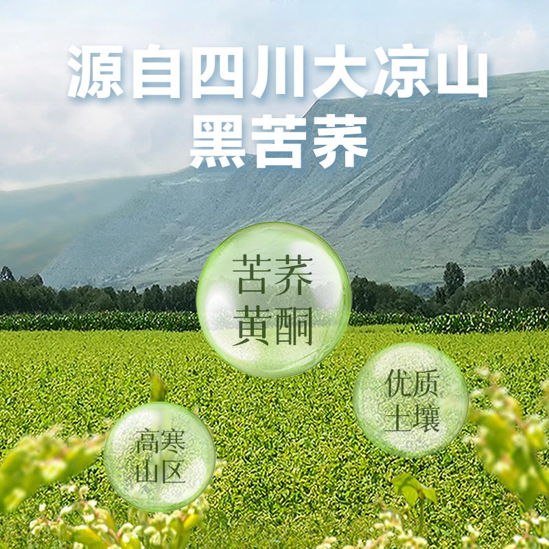 三匠四川大凉山黑苦荞原味多口味代餐冲饮即食谷物麦片