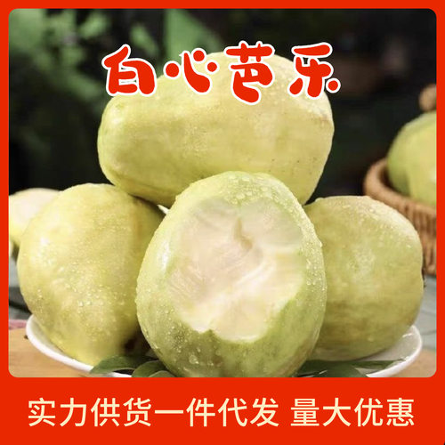 白心奶油芭乐大果芭乐新鲜应季水果休闲番石榴软糯产地直发