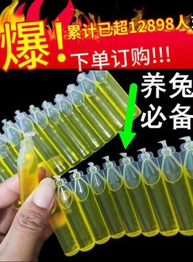 养兔子常备药兔病预防药兔专家兔瘟精神不振厌食驱虫药兔兔用品