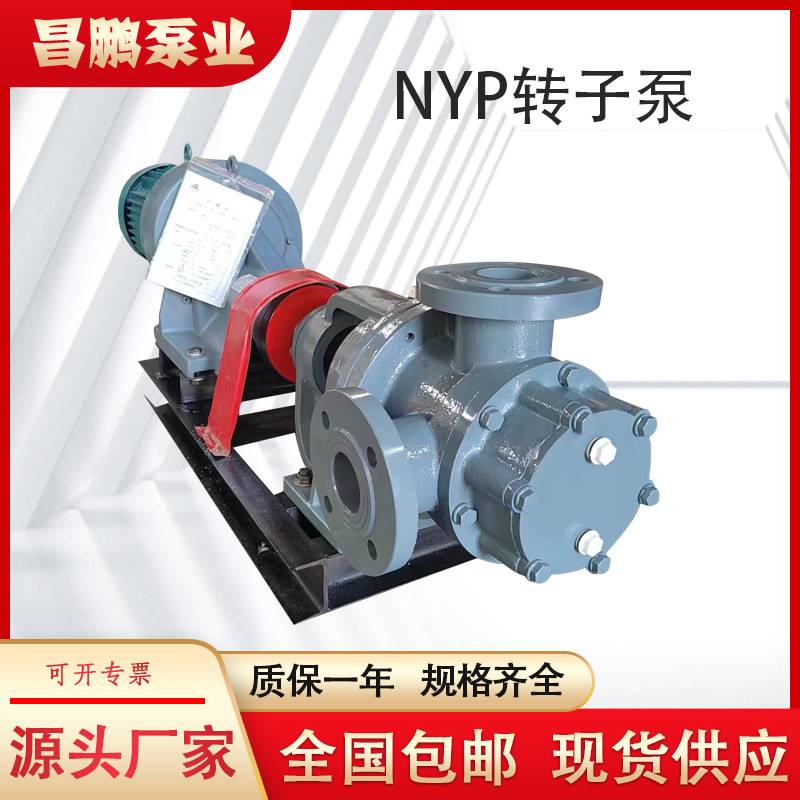 NYP10高粘度转子泵 内啮合铸铁齿轮泵 昌鹏保温夹套电动树脂泵
