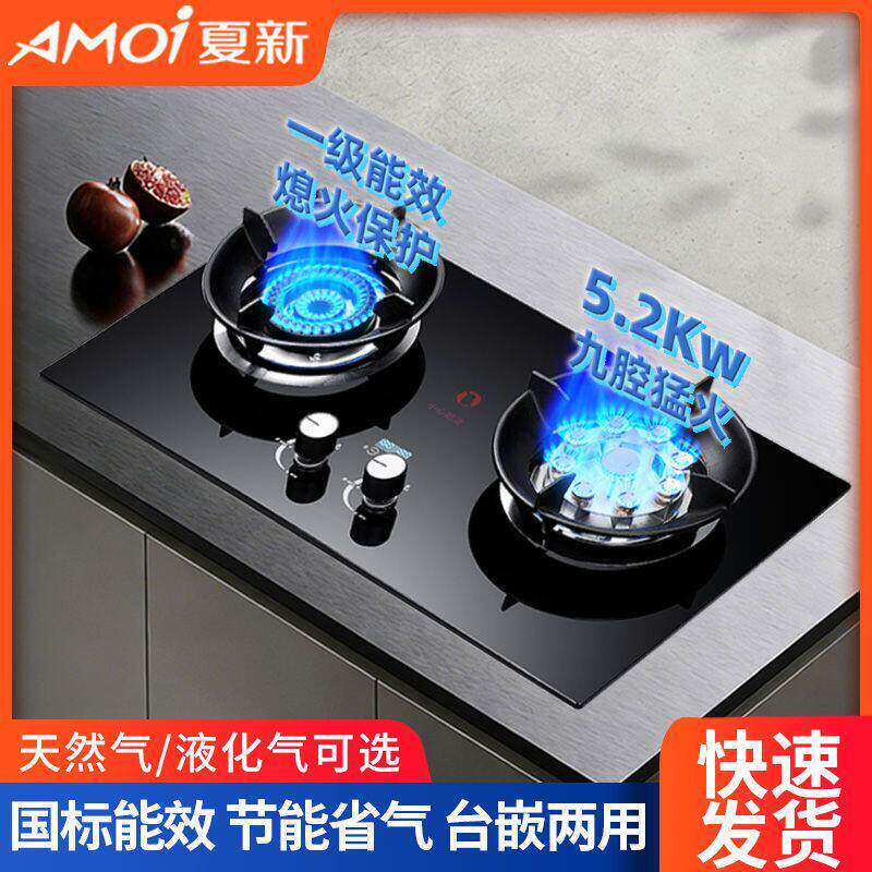 夏新瓦斯炉双口家用台式