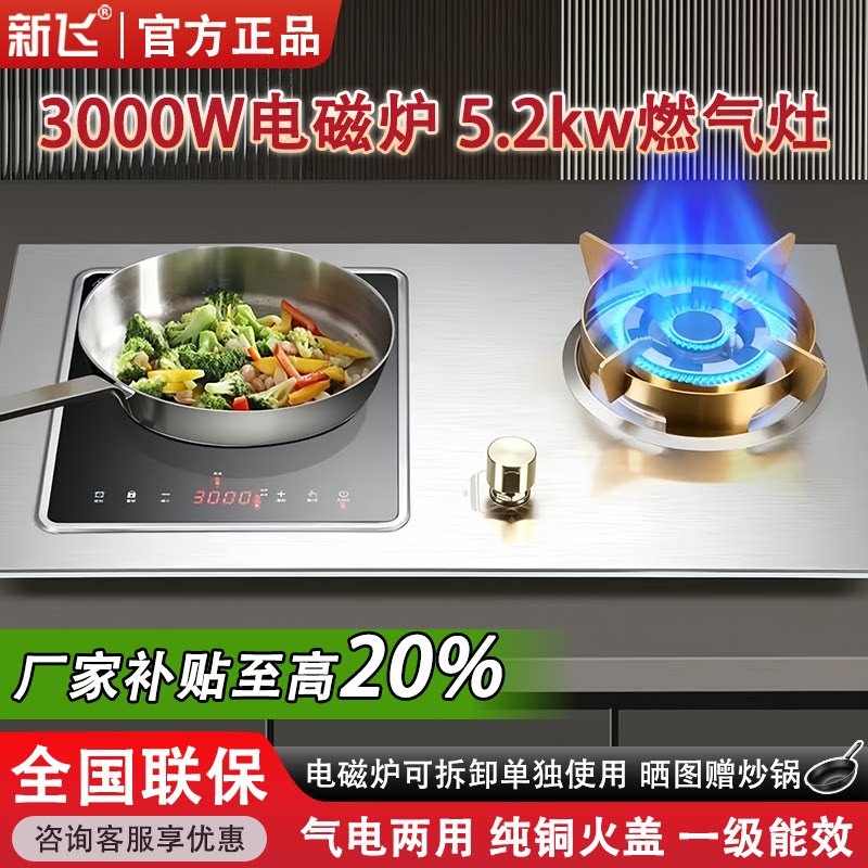 新飞一电一气瓦斯炉不锈