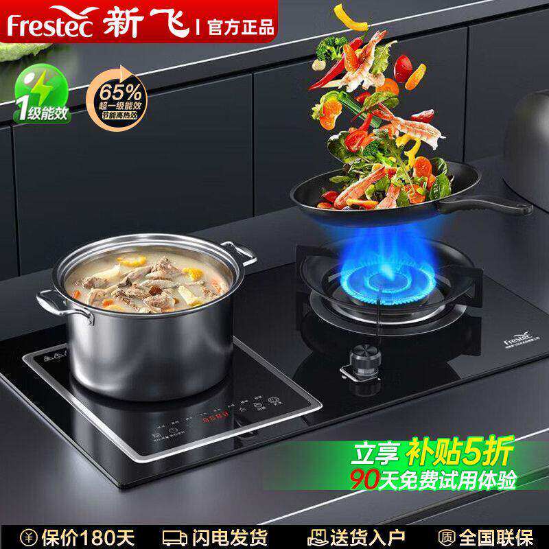 新飞瓦斯炉气电两用双口