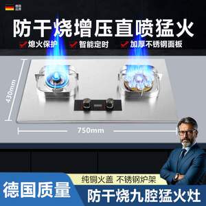 路易好太太瓦斯炉双口家