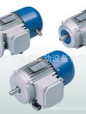 现货供应意大利REM电机配件MS8024 0.75KW B5