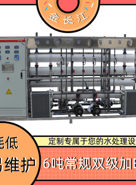 6吨常规双级加EDI超纯水水驻极/电驻极/熔喷布净水设备超纯水设备