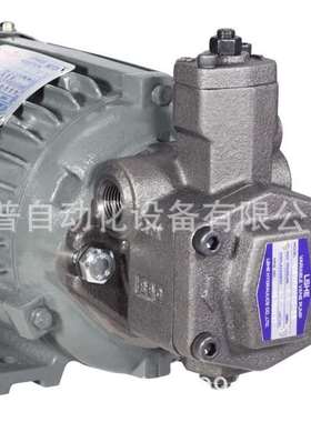 LSHE液压油泵SVPF-30-55 SVPF-40-70叶片泵LSVPDF-2012-A1-12双联