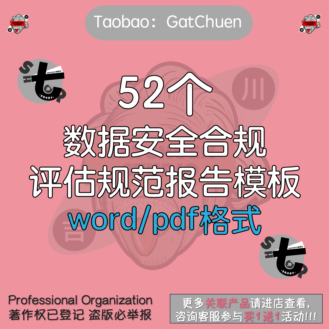 数据安全合规评估规范报告模板指南方法互联网风险办法APP系统