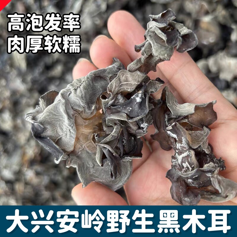 东北野生黑木耳500g软糯特产