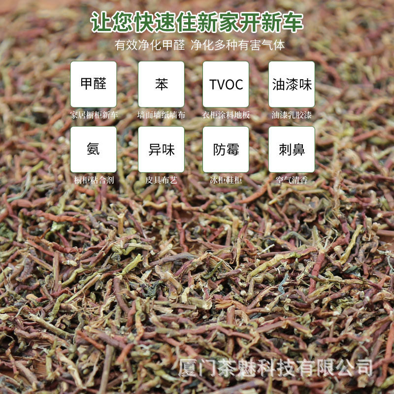 茶魅茶梗散装长茶根茶枝乌龙茶铁观音除味装修去甲醛做枕头车