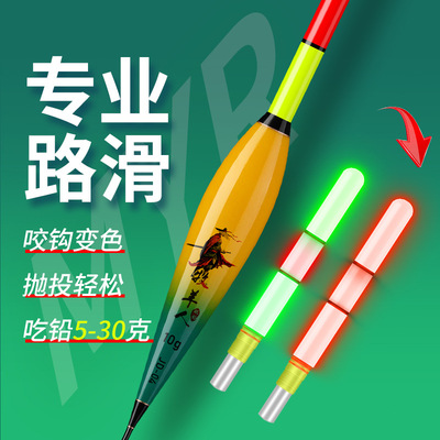 红绿尾浮漂日夜两用夜光加粗醒目