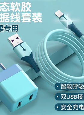 适用于iPhone14液态数据线13苹果12快充11promax手机5v2a双口充电器闪充套装6s快速7加长8plus闪iPad平板XS