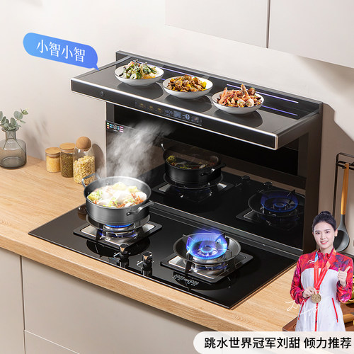 帝尊尼大吸力变频分体式集成灶