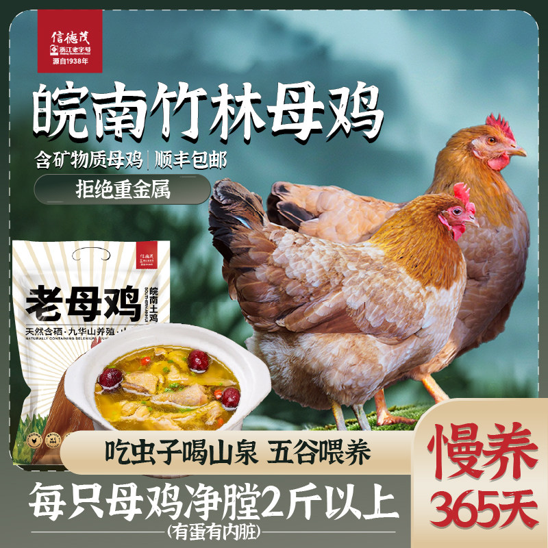 信德茂新鲜现杀皖南老母鸡土鸡