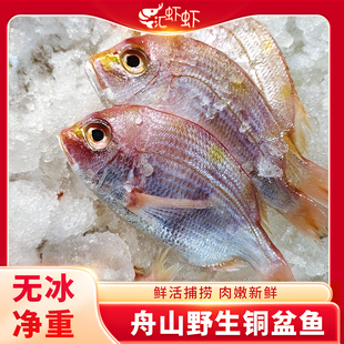 深海铜盆鱼3斤新鲜红鲷鱼鲜活铜盆鱼海鲜水产品东海整条少刺