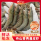 青壳滑皮虾船冻海虾鲜活速冻舟山条虾海鲜硬壳虾水产新鲜冻虾批发
