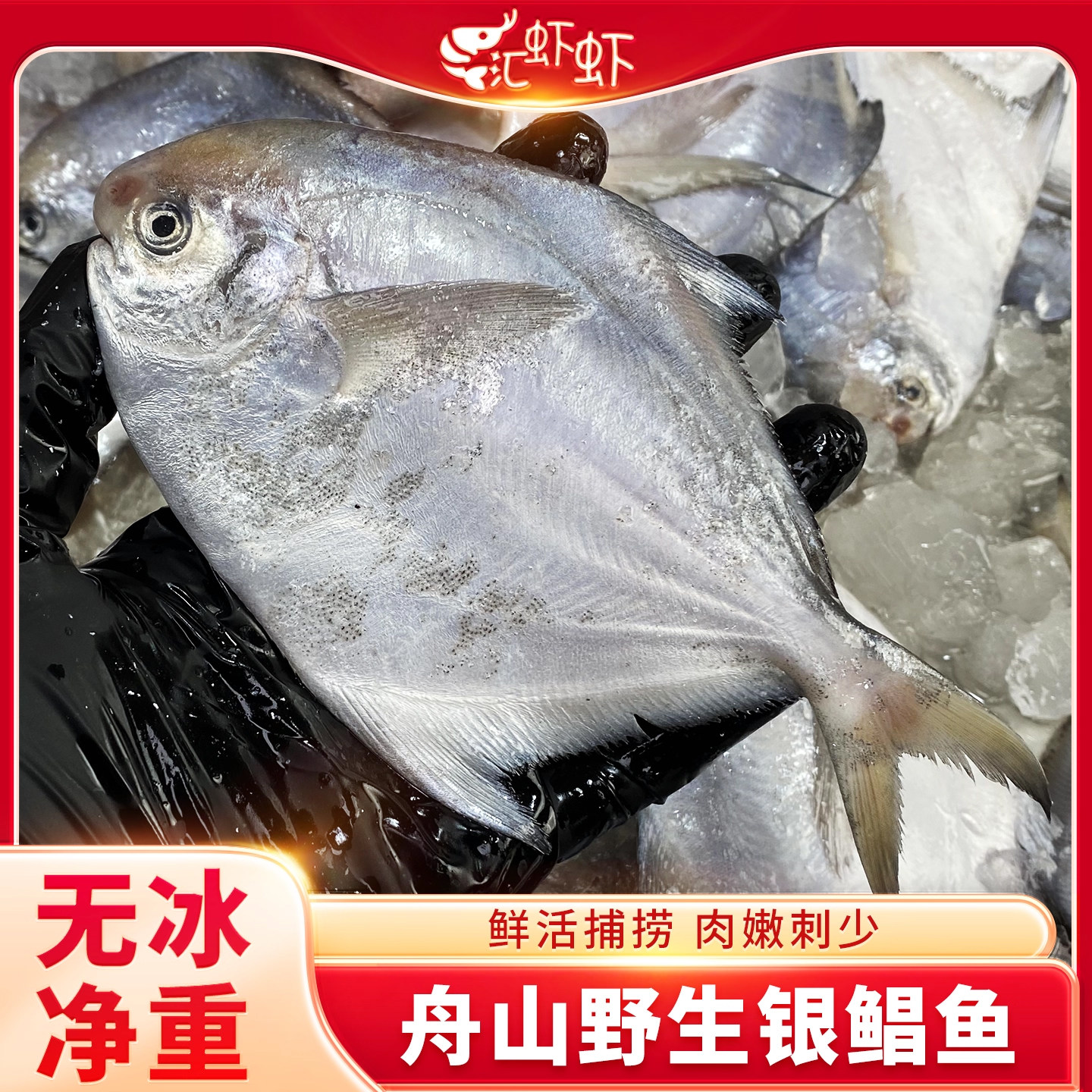 银鲳鱼特大白鲳鱼3斤舟山野生鲳鱼冰鲜冷冻银昌鱼海鲜鲜活水产,水产肉类/新鲜蔬果/熟食,鲳鱼,淘宝优惠券,粉丝福利购,淘宝优惠卷