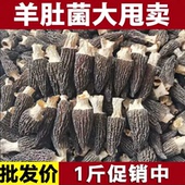 特优级羊肚菌干货头茬新货云南半野生菌菇新鲜批发 9.9到手2包