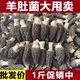 特优级羊肚菌干货头茬新货云南半野生菌菇新鲜批发 9.9到手2包