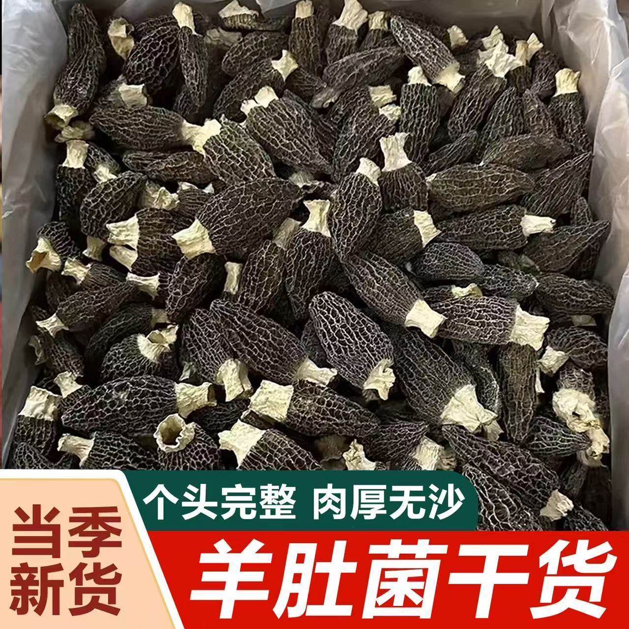 云南高山精选羊肚菌特产高档鲜美煲汤食材农家滋补养生净重干货