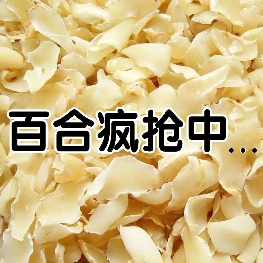 百合干头茬无硫正宗兰州罐装食用百合花干人工精选大片煮粥煲汤