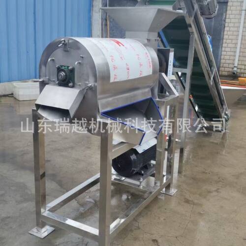 大型杨梅西梅去核打浆机商用柠檬去皮打浆机工业胡萝卜双道打浆机