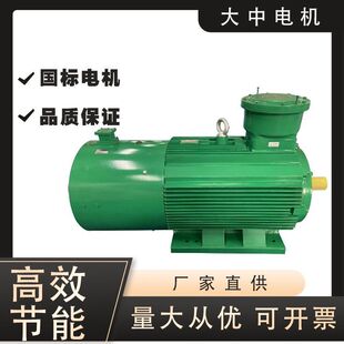 大中YBBP防爆变频三相异步电动机超高效率纯铜线圈质保三年