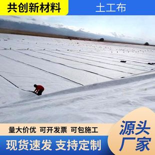 道路养护工程布公路养护防尘聚酯长丝土工布国标短丝土工布