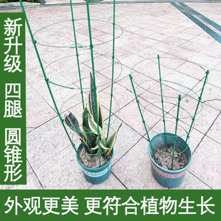 文竹支撑架爬藤架子月季 花架室内花卉植物支撑杆绿萝铁线莲攀