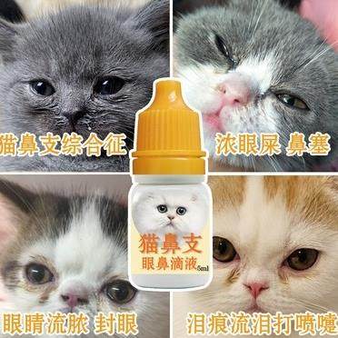 猫鼻支眼屎多流脓打喷嚏流青黄鼻涕猫咪滴眼水眼睑红猫流泪去泪痕