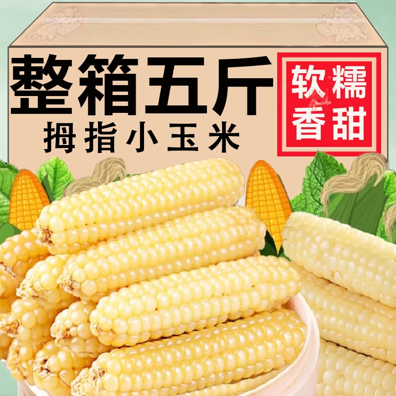 云南西双版纳拇指小玉米新鲜手指香糯玉米黏早餐即食真空甜糯玉米