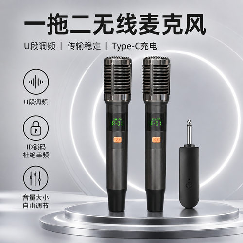 山水SK03无线万能话筒家用主持一拖二演出户外舞台唱歌麦克风通用