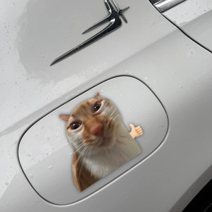 MEME猫汽车贴纸油箱盖个性 饰贴纸 创意车贴车窗贴纸防水防晒划痕装