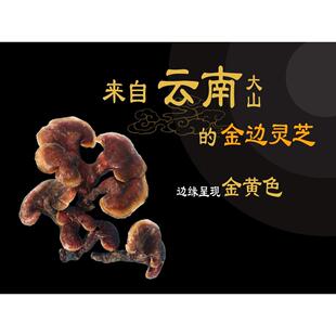 云南代磨金赤灵灵边芝粉竹灵干芝货红林芝FRJ长柄紫芝黑灵芝片