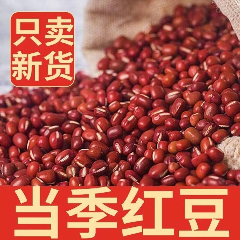 东北黑龙江红小豆批发红豆农家自产2025新红小豆红豆薏米粥原料