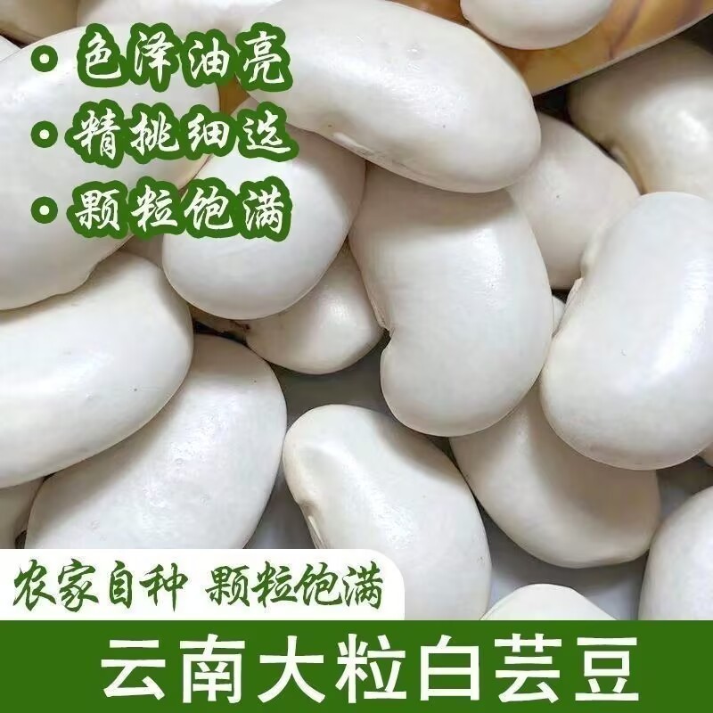 云南大白芸豆五谷杂粮健康粗粮可煲汤的营养豆类当季新豆