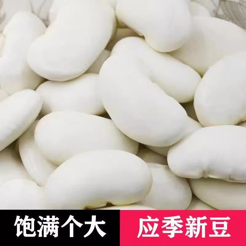 云南白云豆大颗粒干货批发杂粮500g新货大芸豆大豆大白豆无硫雪豆