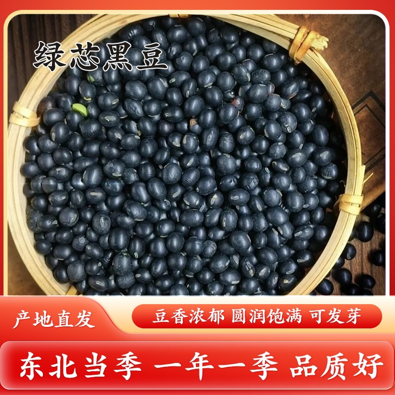 东北绿芯黑豆农家新货青仁黑豆绿心五谷杂粮真空包装打豆浆粗粮