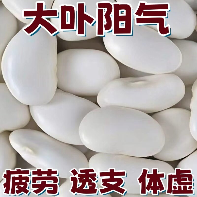 【农家新货】正宗云南大白芸豆大白豆雪豆炖汤大白云豆干货