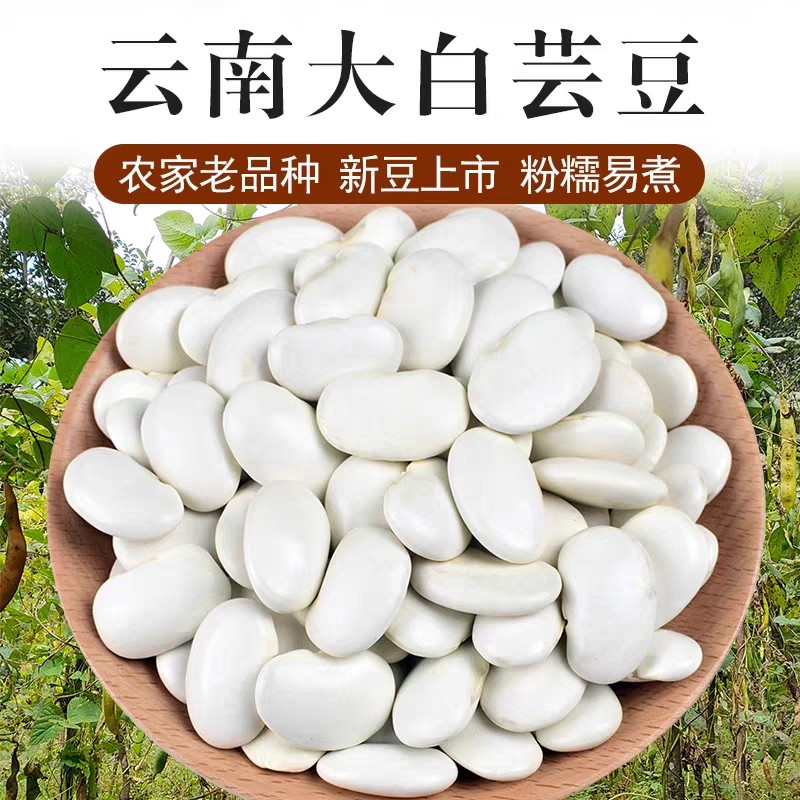 正宗云南大白芸豆大白豆雪豆农家自种炖汤白云豆新货批发