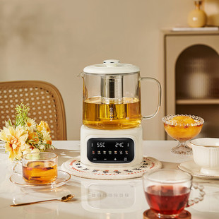 德世朗液体加热器养生壶多功能煮花茶壶办公室小型玻璃电热水壶