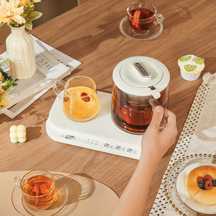 德世朗液体加热养生壶DDQ-SH228 花茶养生壶