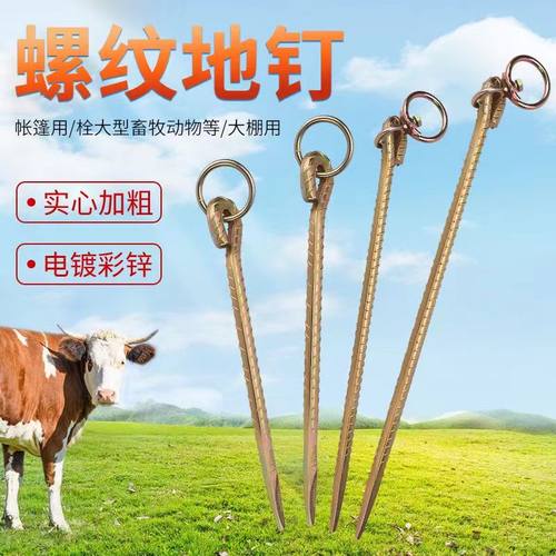 加粗螺纹钢户外帐篷地栓地钉地桩钉固定大棚地锚钉地钉拴牛羊马钉