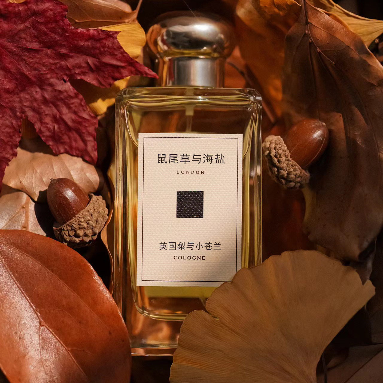鼠尾草与海盐英国橡树与榛子乌木与佛手柑青柠罗勒与柑橘平替香水