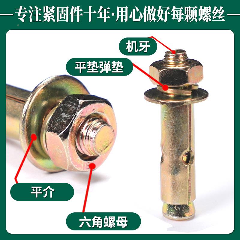 镀锌膨胀螺丝全外膨胀螺拉爆爆19200mm炸螺钉胀管M6栓大M8内膨胀