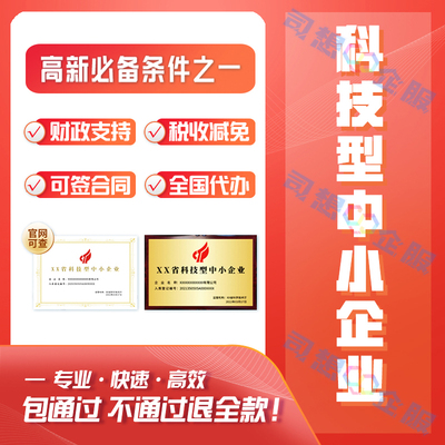 科技型中小企业申报认定项目评测备案撰写材料立项报告培育