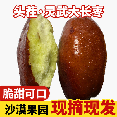 【中秋礼盒】2025头茬宁夏灵武大长枣现摘大地枣青枣红枣脆甜