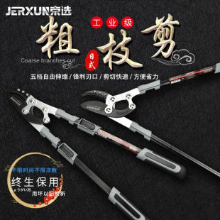 京选（JERXUN）伸缩粗枝剪修枝剪树枝园林剪刀果树修剪省力高枝高